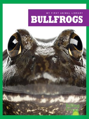 cover image of Bullfrogs